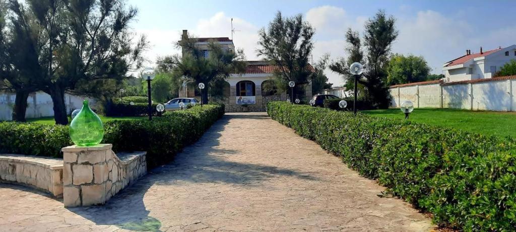 San Domenico Bed And Breakfast Torre A Mare Zewnętrze zdjęcie